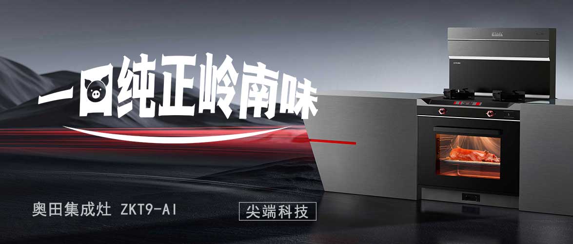 奧田集成灶ZKT9-AI丨精準(zhǔn)復(fù)刻嶺南風(fēng)味炙烤頂流，烤乳豬皮脆肉嫩